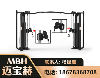 庆阳大飞鸟训练器
