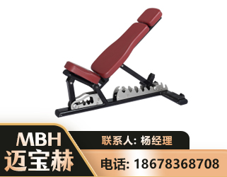 庆阳可调哑铃椅